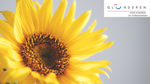 Wat betekent de Kernvisie methode voor mij